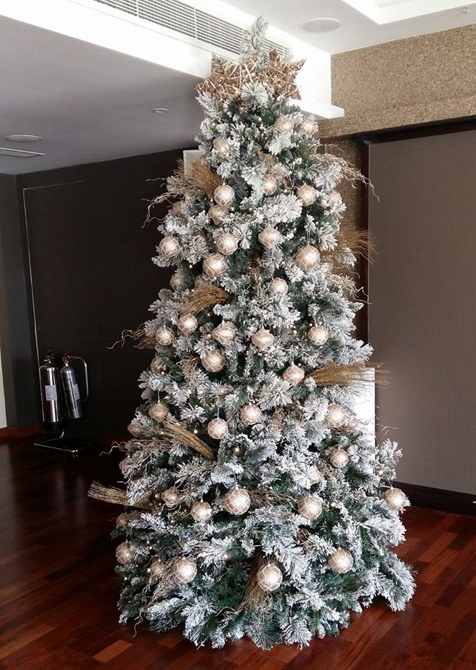 AlexanderKanika's tweet photo. Christmas Time, Mistletoe and wine...#Christmas #ChristmasTree #AlexanderTheGreatBeachHotel https://t.co/UsVKwM0pJj
