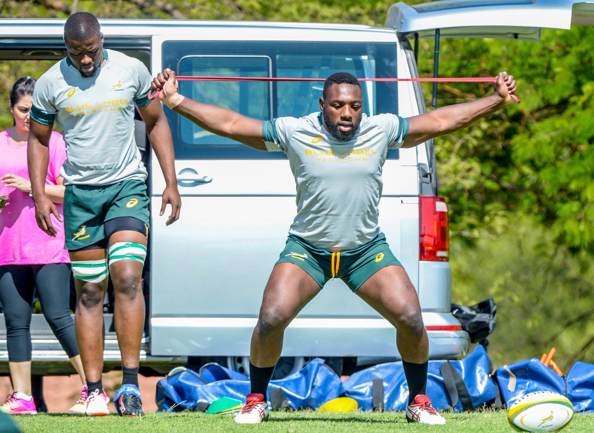 Springboks tweet media