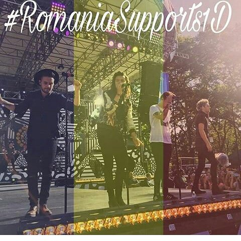 Anuta Vesa tweet media