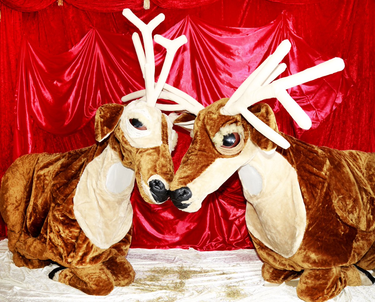 RedDragonCentre's tweet photo. These cheeky reindeer puppets will joining us on Sunday to spread some festive joy! #FullOnFestiveFun https://t.co/rl7lCogKZs https://t.co/8atg2zGMAP