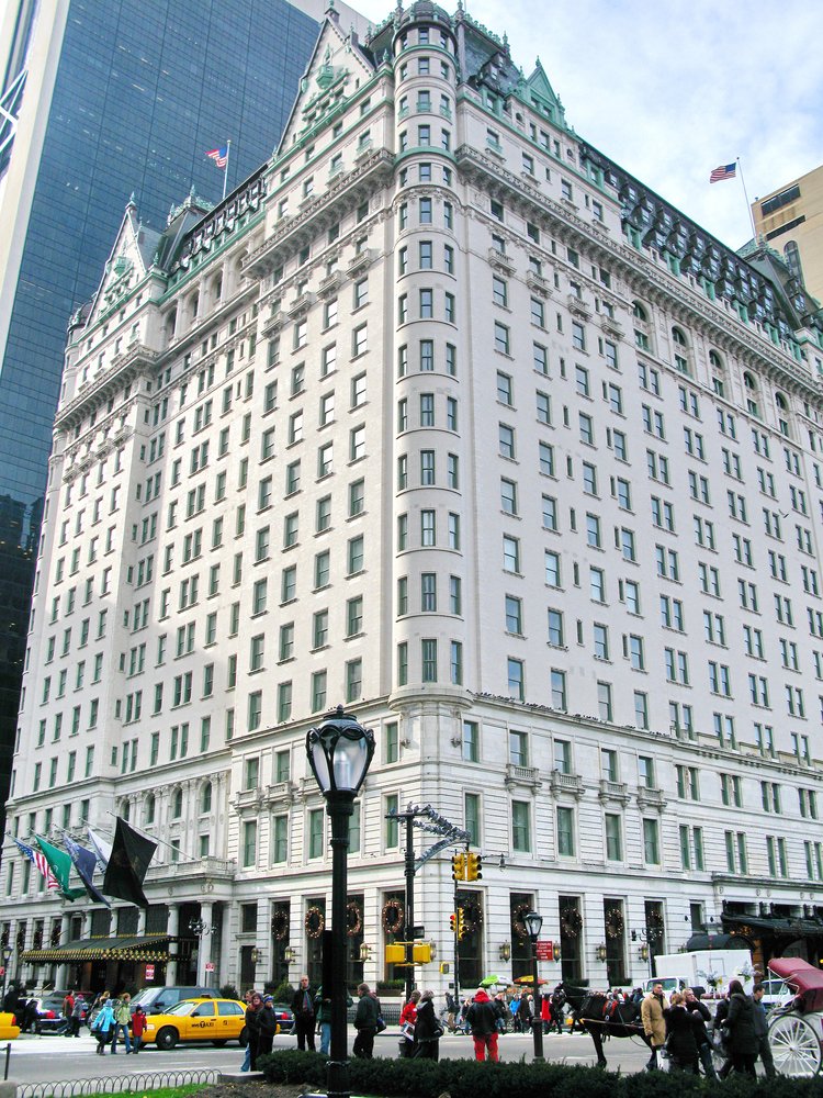 flyfromLAX's tweet photo. Legendary Plaza hotel on 5th Avenue, New York, USA https://t.co/0SJXImIIg3 #cheapflights https://t.co/XMhpEpl7hh