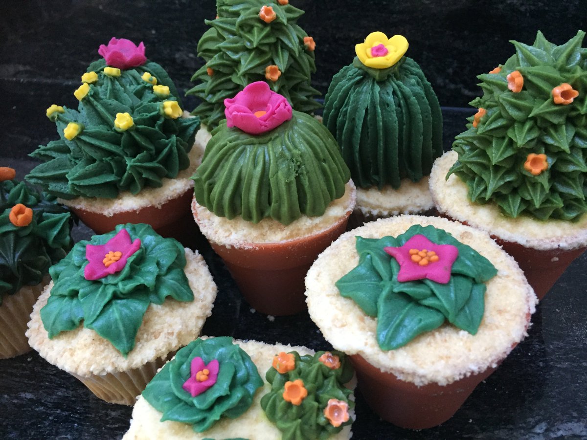 RealCookieGirl's tweet photo. #competition Win a place on Gingerbread Tepee &amp; Cactus Cupcake class @HabitatUK 14/12 7pm Like, Share &amp; follow us to enter #cactusxmas #bake https://t.co/sTGczMUDry