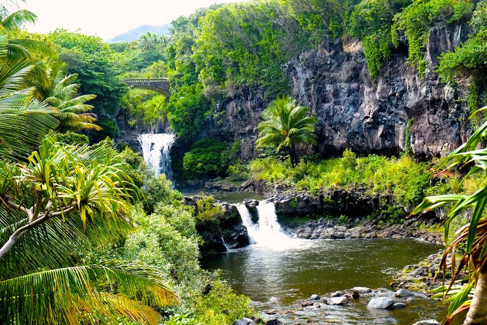 flyfromBKG's tweet photo. #PackageDeals to the islands (yeah, #Hawaii) up to 40% off https://t.co/0rWETaTocv #CheapFlights https://t.co/bR1UCL8wQX