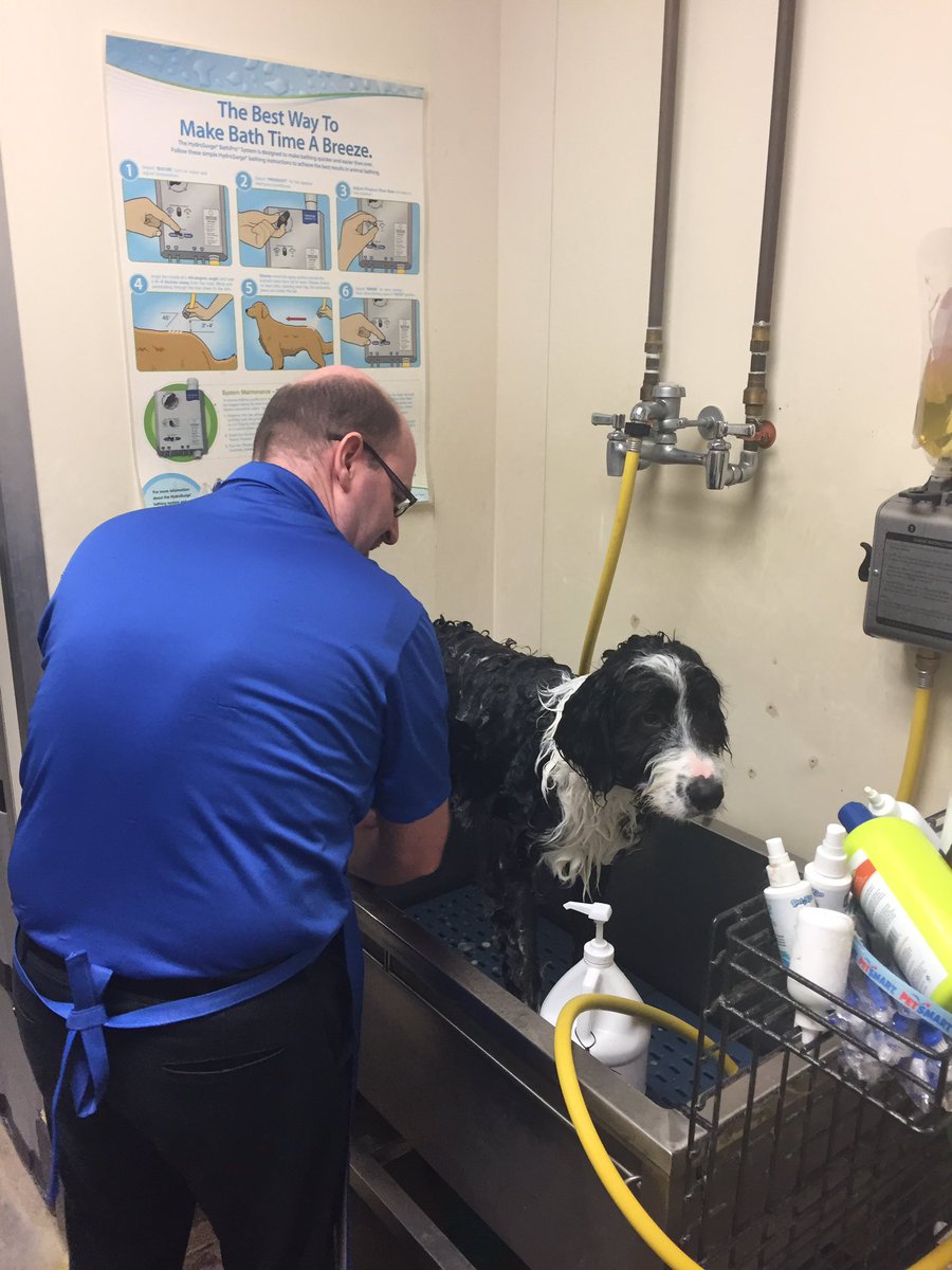 Wally got his 1st CHI bath with @BrandenKennedy3 and they both did CHIriffic!! 🇨🇦 <a href="/ThatJenKelly/">Jennifer Kelly</a> <a href="/robsmithbluejay/">Rob Smith</a> <a href="/ssklr11/">Kristie Reisenweaver</a> @jrseymour85