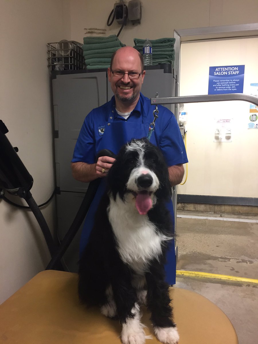 grammar2824's tweet photo. Wally got his 1st CHI bath with @BrandenKennedy3 and they both did CHIriffic!! 🇨🇦 @ThatJenKelly @robsmithbluejay @ssklr11 @jrseymour85 https://t.co/qZxHrjuvqh