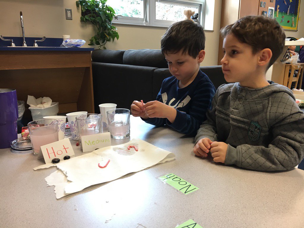 Rachel Hamberger tweet media