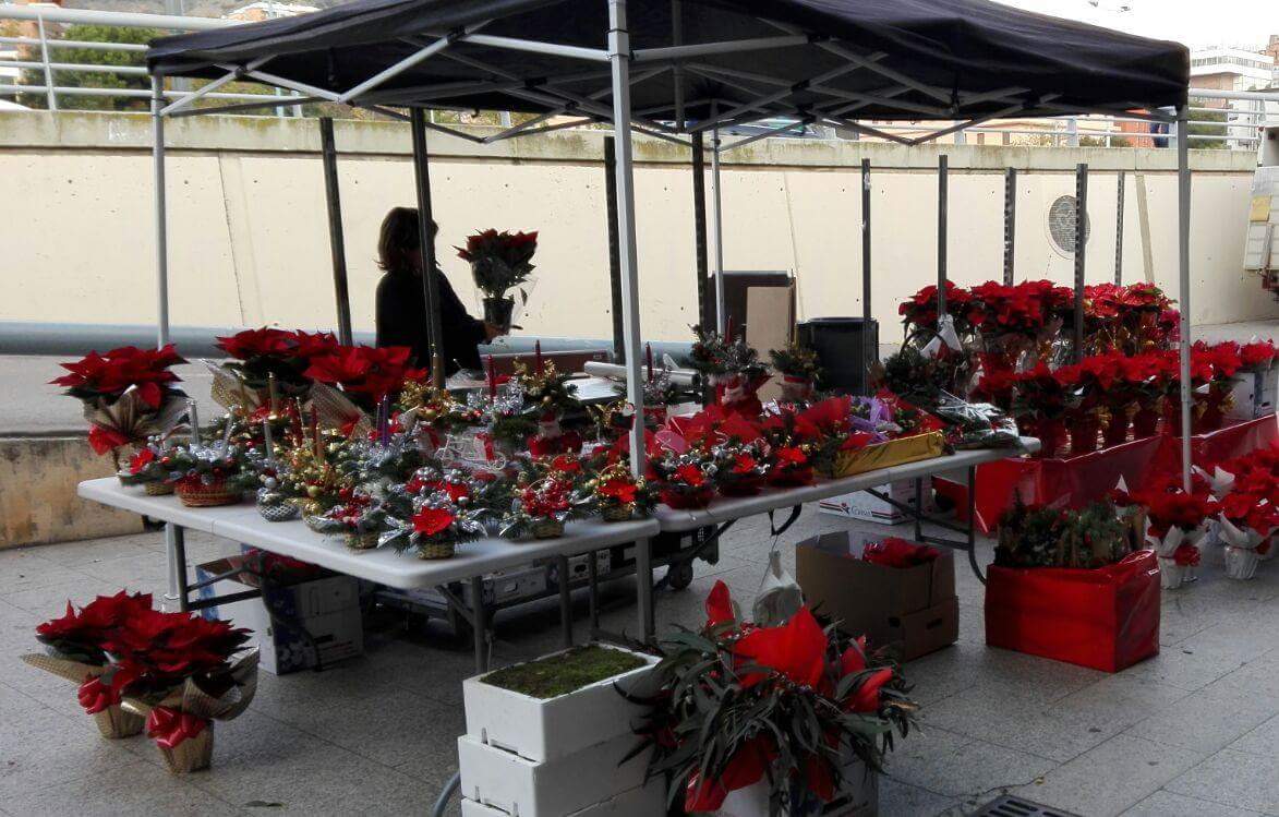 GarridoCarme's tweet photo. Aquest dissabte 10 de desembre torna a venir la parada de flors #ponseties al Mercat. Podreu trobar-la de 8h a 15h. #nadalalmercatvdh #vesc https://t.co/yGic0t88cl