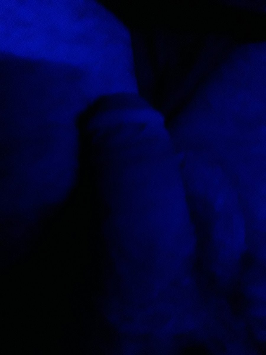 Slm sex isteyen bayan yokmu arayın 05522477970