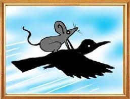 Robert_c_obrien's tweet photo. Got caught by a crow today... #CrowLife https://t.co/3bFo8f8jzi