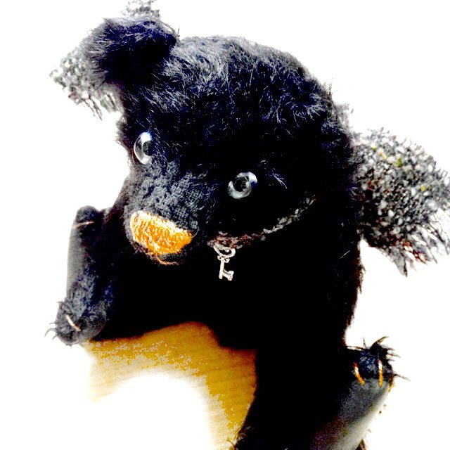 黒いベア大好き 