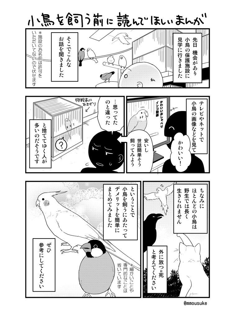 まったくモー助 בטוויטר 小鳥を飼う前に読んで欲しい漫画