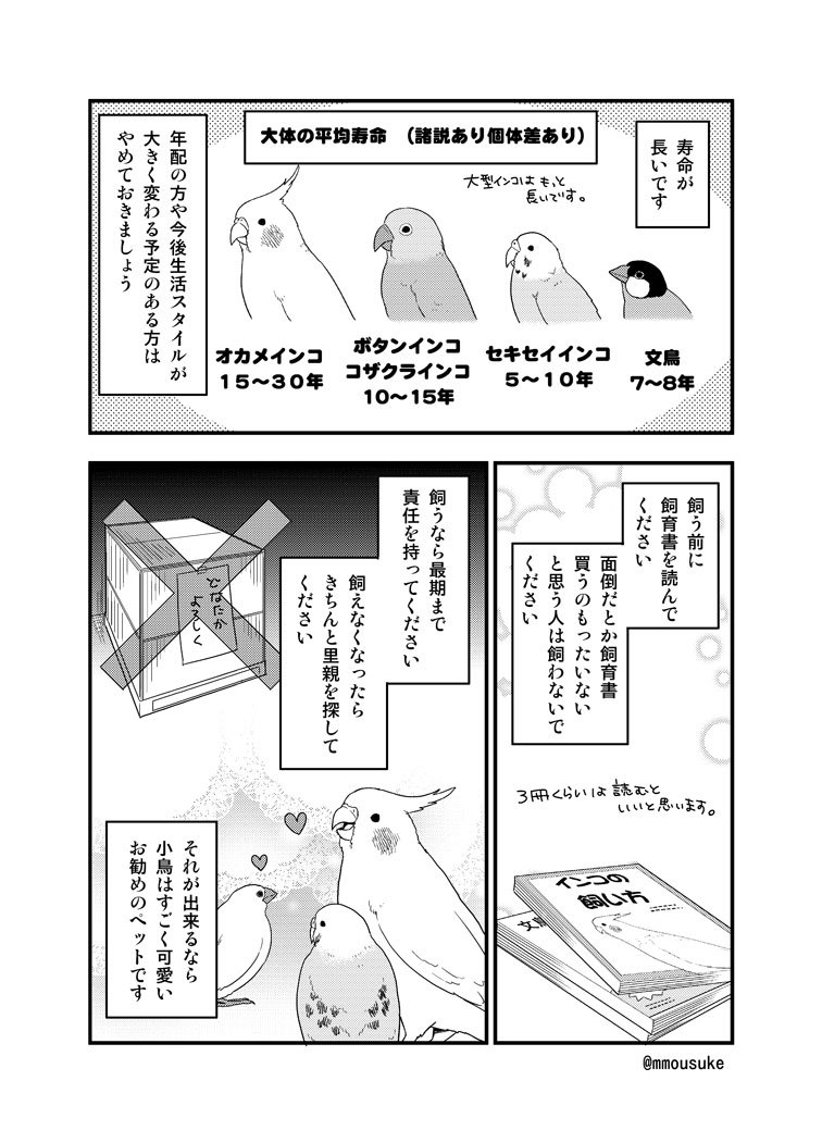 インコ漫画 Min T ミント インコ漫画 Min T ミント