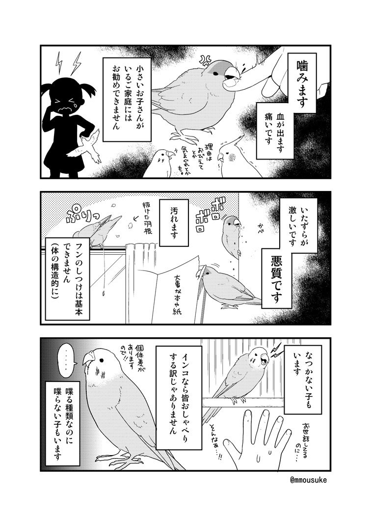 まったくモー助 בטוויטר 小鳥を飼う前に読んで欲しい漫画