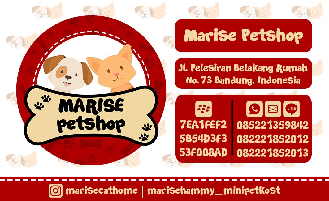 Marise Petshop 2 tweet media