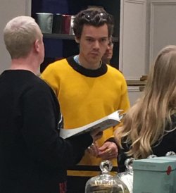 WhyLarryIsReal's tweet photo. GRUMPY BEE https://t.co/KxpU5bvX7S