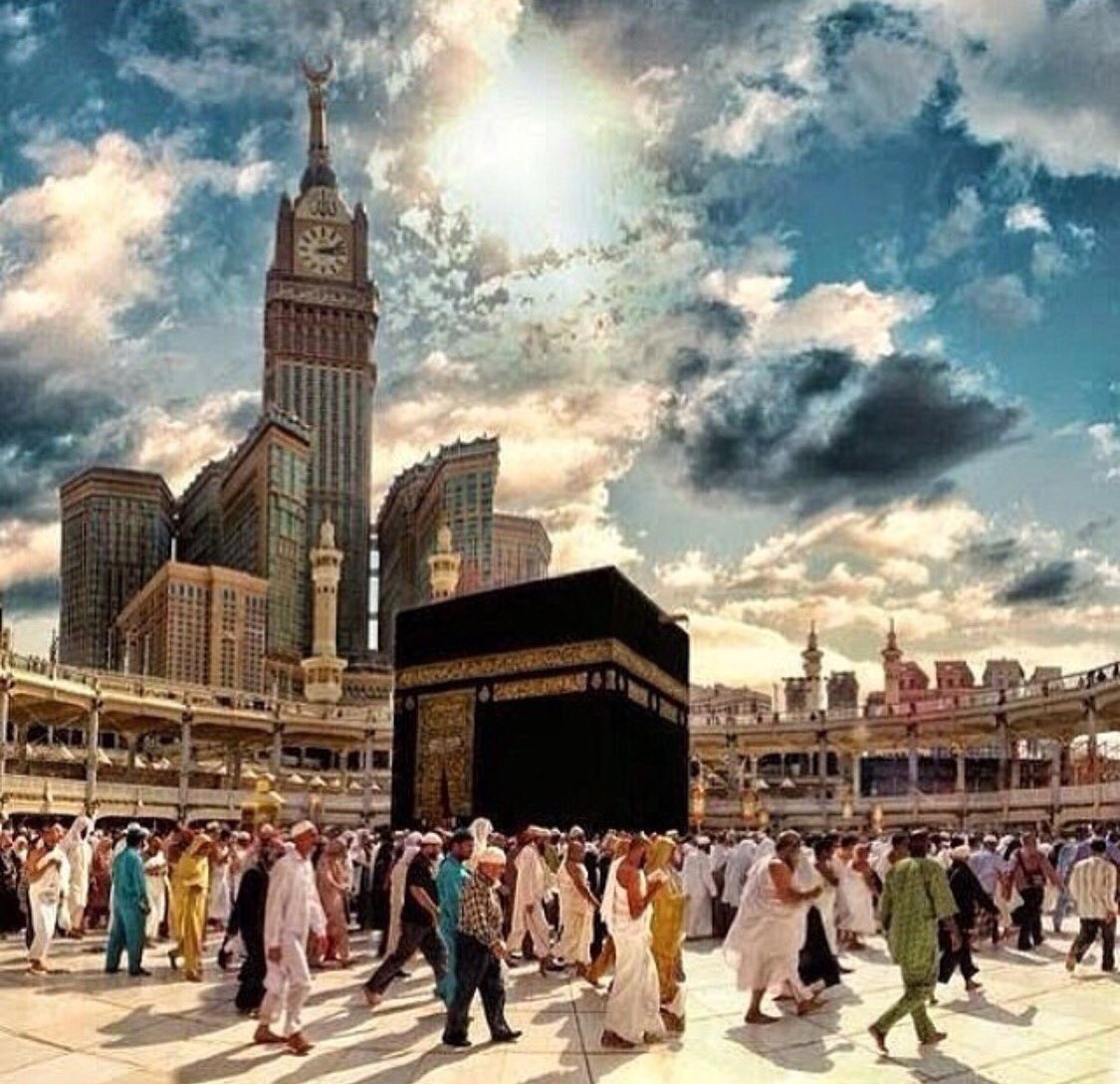 FatmaAlarbash tweet picture