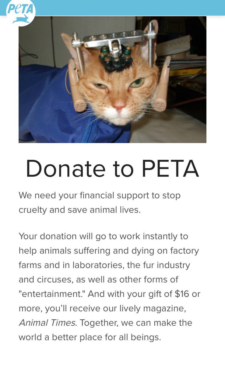 animaltesting8's tweet image. 