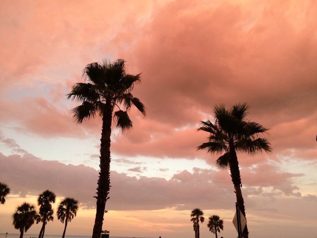 Possessive's tweet photo. Look up, look around, life is beautiful https://t.co/T54W4OeeQs