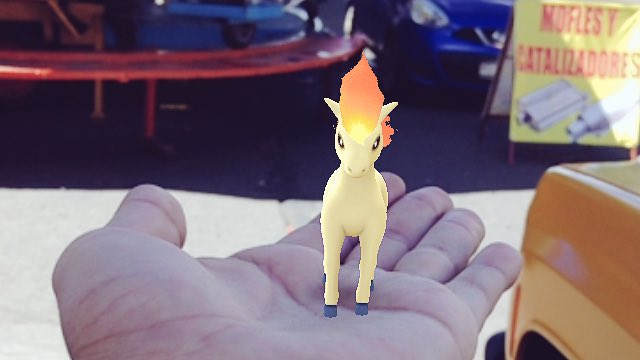 #Ponyta 🐴🔥 #Pokemon #PokemonGo #PokemonGoMexico #PokemonGoMorelia @PokemonGo_Mex <a href="/PokemonGoMexico/">Pokemon Go Mexico</a> <a href="/Pokemon_CDMX/">PokémonGoCDMX</a>