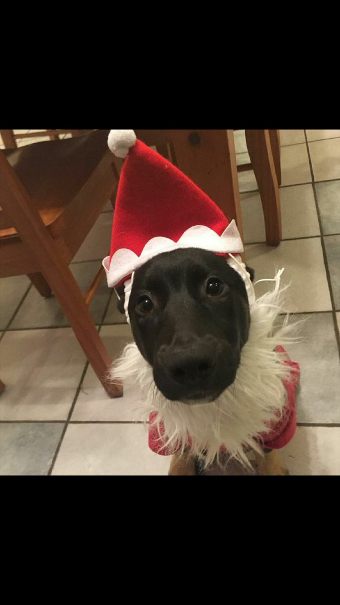 jbrusco's tweet photo. #TODAYsTake starting to feel a lot like Christmas https://t.co/YbRfdxWxTf