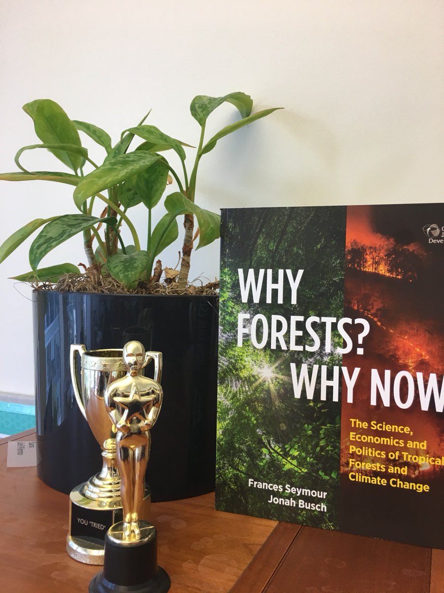 REDDCommunity's tweet photo. New from @FrancesJSeymour, @jonahbusch of @CGDev: how #forests can mitigate #climatechange  https://t.co/CHlEPC1CHA https://t.co/YMjxYvm5Dp