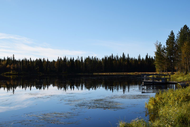 "Musikwelten in Finnland" beim <a href="/DLF/">Deutschlandfunk</a> - Unsere Kulturreferentin @essikalima ist auch dabei! <a href="/musicfinland/">Music Finland</a> <a href="/AusFinnland/">Aus Finnland</a> deutschlandfunk.de/musikwelten-in…