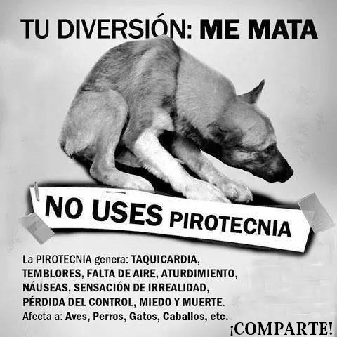 Ellos también son víctimas de la pólvora. Esta #NocheDeVelitas y siempre di #NoALaPólvora.