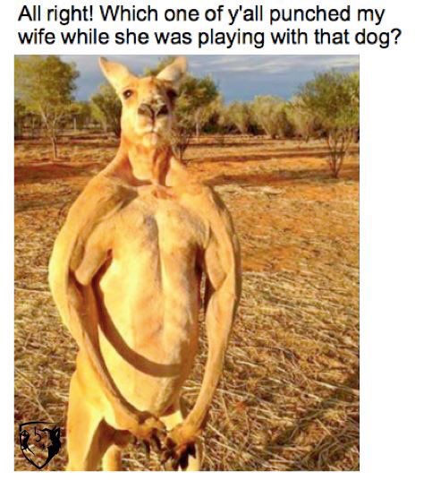 fighttips's tweet photo. I know you've seen the video by now. Be on the lookout for this fella' - He doesn't seem too thrilled! ✊
#Kangaroo
#KangarooBoxing https://t.co/JGjt6At9UX