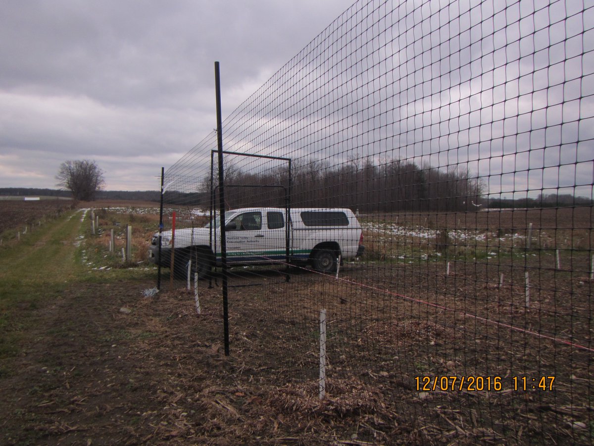 MaitlandStwdsp's tweet image. Hoping this deer fence can protect these fall planted trees and shrubs near Belgrave! #maxsecurity #survival100 #treeplanting