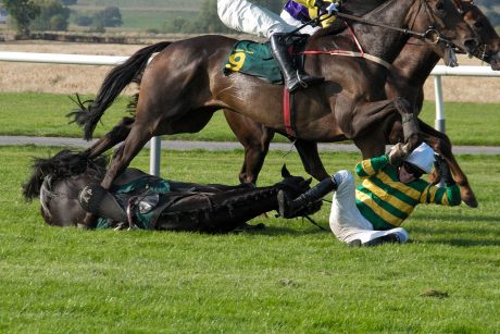 Why Animal Races Are Anything But Entertaining — and Why They Need to Stop
onegreenplanet.org/animalsandnatu…