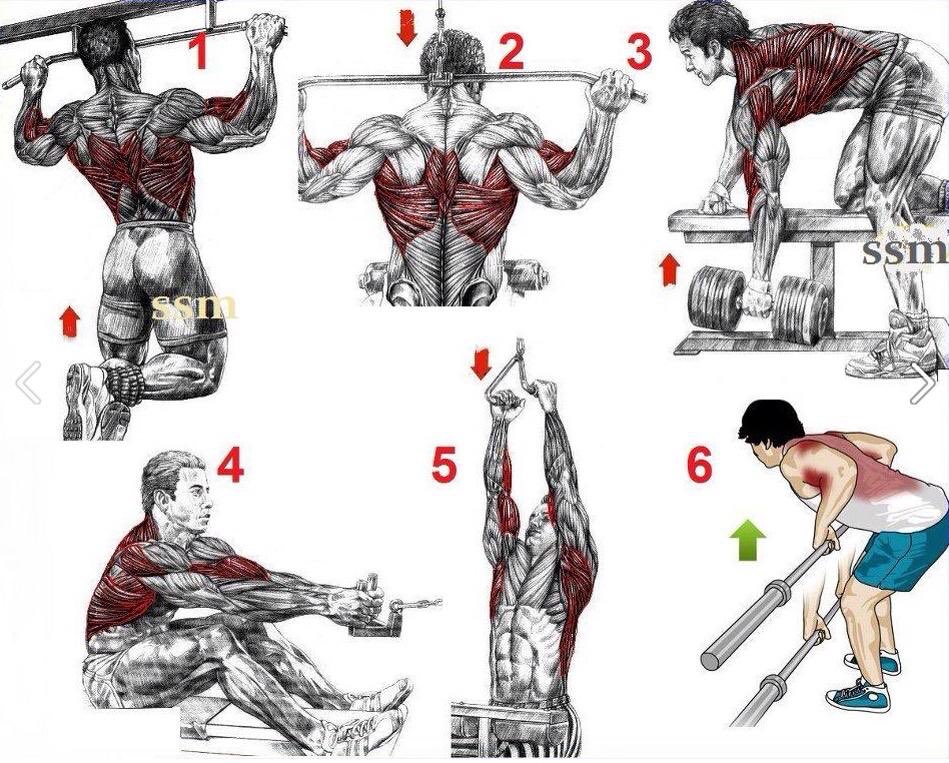 Health & Fitnes on X: Full back workout, do these workouts to get
