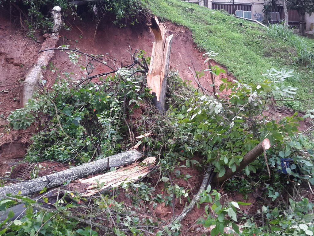 InfraCarrizal's tweet photo. @AlcCarrizal @JLRodriguez2010 @InfraCarrizal Remoción de derrumbes calle Corralito. (Marrones) https://t.co/LKHmuo8opm