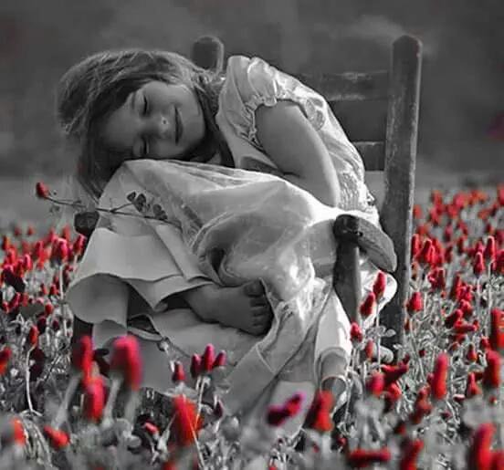 NUNCA DEJES DE CREER EN LA BELLEZA DE LOS SUEÑOS
audioboom.com/posts/5368531-…