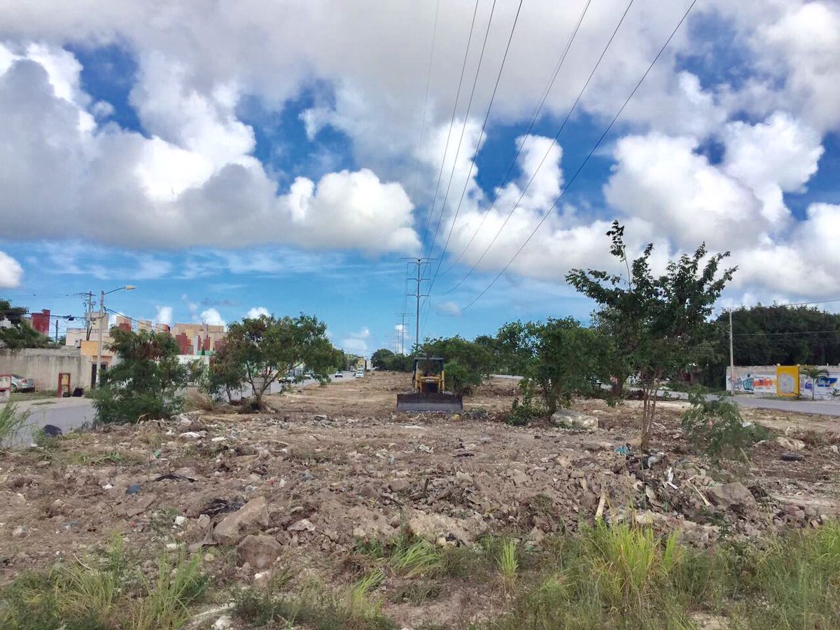 leoncancun's tweet photo. #BrigadasVerdes avanzando desmonte del camellón de #Av20Nov tramo Av.Kabah a la Av. ChacMool
@rembertoestrada @AFonsecaL
@VivoEnCancun https://t.co/qxEX1y3ZkT