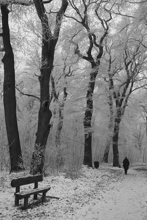 إذا امتزج الماء بالماء امتنع تخليص بعضه من بعض، وقد تبلغ المحبة بين شخصين حتى يتألم أحدهما بتألم 
الآخر،ويسقم بسقمه وهو لا يشعر
#العمده..🍃