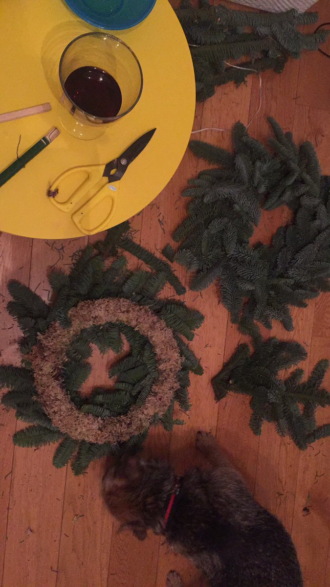 Sarah Lindsey tweet media