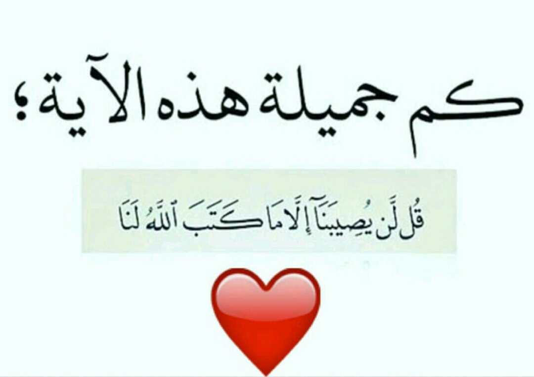 hassanalameri.com (@abuabudll666) on Twitter photo 