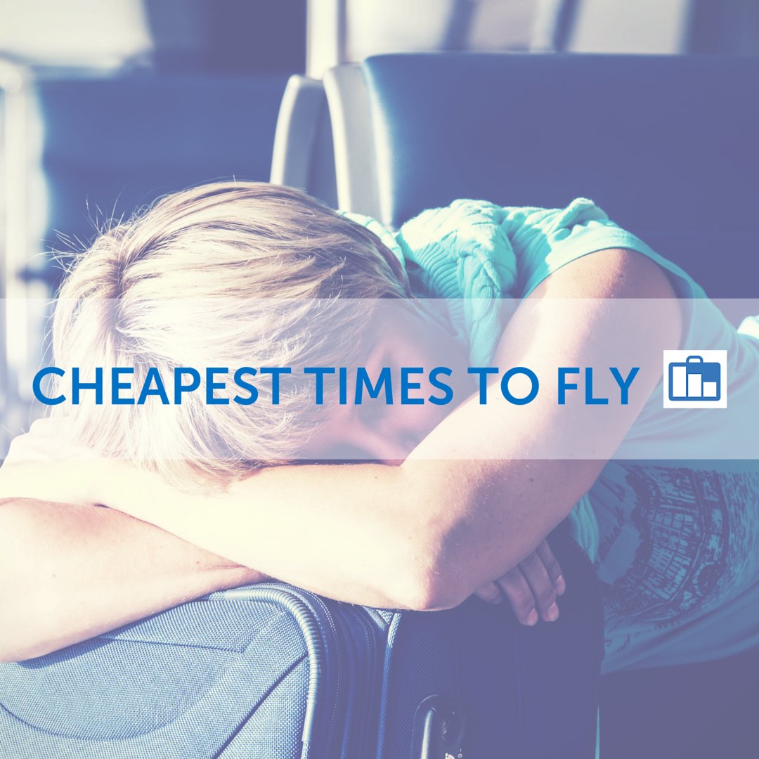 flyfromMSP's tweet photo. https://t.co/NTac39BInX #cheapflights https://t.co/Vn02g9geri