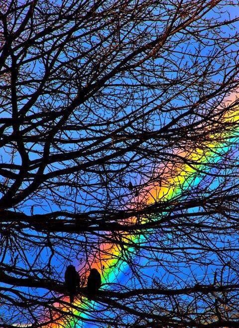 ElybetCa's tweet image. B,N,Juan H,mañana bsos a tdos