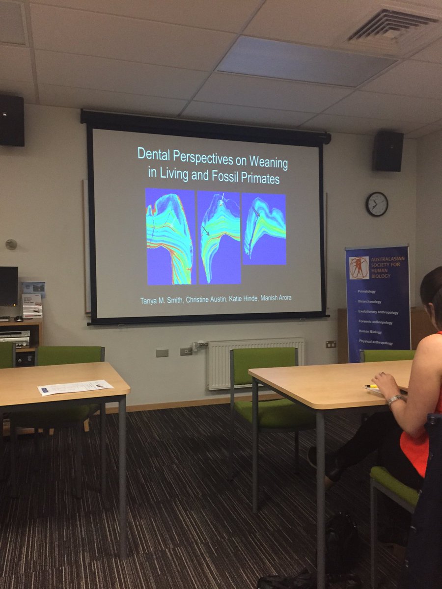 ancientchildren's tweet photo. .@DrTanyaMSmith looking at weaning in living and fossil primates #ashb2016 https://t.co/V9qLUfwXYN