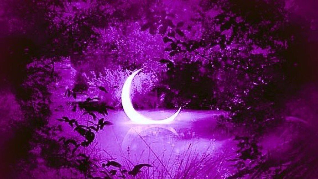 TROTEMc's tweet image. bonne nuit à toi aussi Brindusa