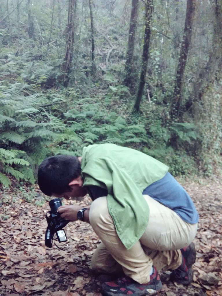 ViajamosJunto's tweet photo. Con la cámara #Canon60D hasta Denys se siente un fotógrafo profesional
Gracias @soymalevolo por la experiencia 😉 
#LaPalmaJuntos fotográfica https://t.co/73WFbYmjqj