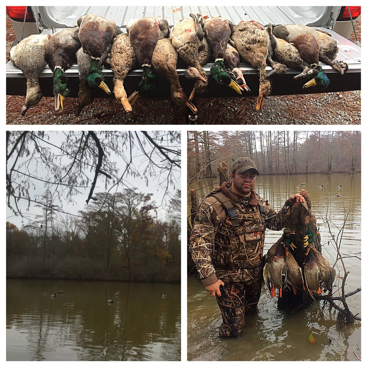 koltonpoe's tweet image. I may have spoiled myself by doing this damage by 7:30!! #SmackEm #FirstHunt #2016