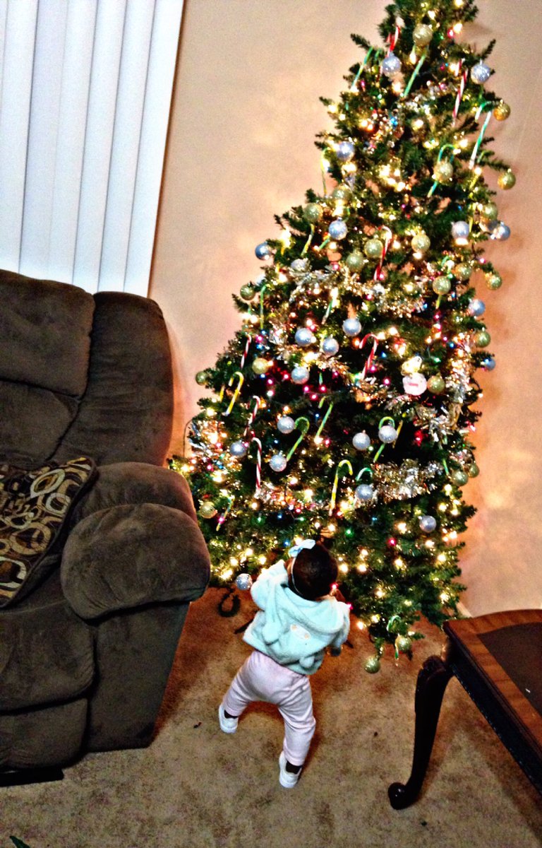 ManSosa90's tweet photo. Amiyah First Tree 🌲 https://t.co/gU6TWgj3fS