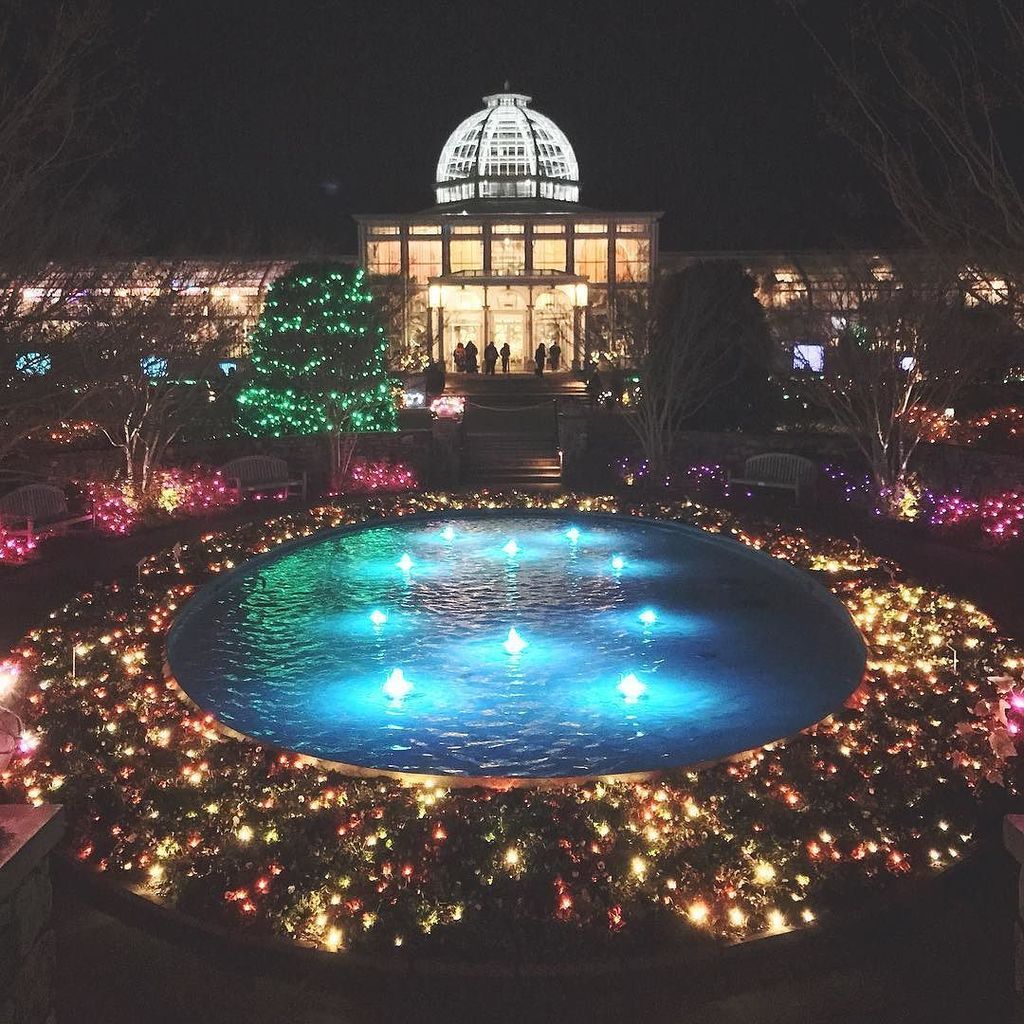 DoubleTakeTweet's tweet image. Fun night at GardenFest! ift.tt/2glXfbC