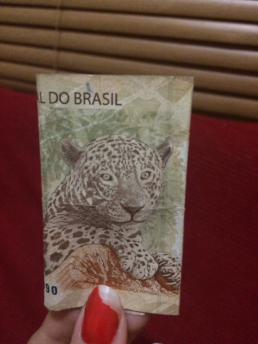 EstephaniMarti7's tweet photo. O animal q eu mais gosto ❤️💸 https://t.co/DDSi0QymCw
