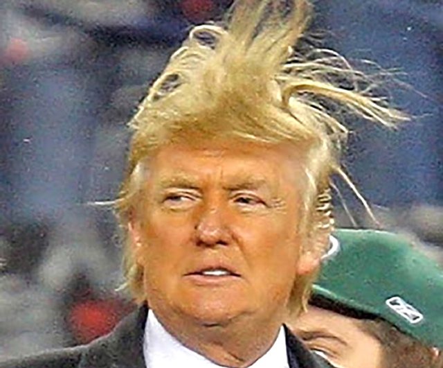 dum lump donny trum lumpdumb twitter