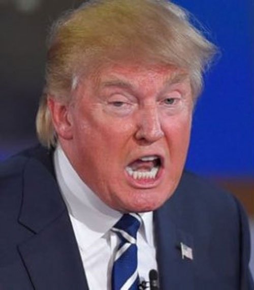 dum lump donny trum lumpdumb twitter