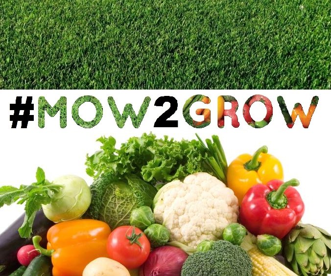 Mow2Grow's tweet photo. Spend taxpayer $s on Mowing Grass or Growing Food? https://t.co/UivYOnYRzM #MOW2GROW #TUFFCorridor #ableg #yyc #yeg #FoodAccess @bmasonNDP https://t.co/6Fy7splxFl