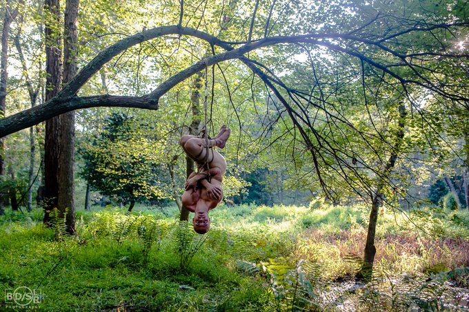 In search of lost time. Diaemone in my @mocojute , photo by @BD_sLR . https://t.co/aA1US9C4ey<a class="tags" target="_blank" title="On Twitter" href="/?out=eyJ0eXAiOiJKV1QiLCJhbGciOiJIUzUxMiJ9.eyJpYXQiOjE3MjE1ODUwMjgsImlzcyI6InR3cG9ybnN0YXJzLmNvbSIsIm5iZiI6MTcyMTU4NTAyOCwiZXhwIjoxNzUzMTIxMDI4LCJyZWRpcmVjdF91cmwiOiJodHRwczovL3R3aXR0ZXIuY29tL21vY29qdXRlIn0.Ir4OYD2CB3z7JFkEdkWNiIiTgY-cDeEfD62L9eA9PzYxRantuhjLlZnTZCTmy21bHD3sXrP0y5d9dHENTxV4mA">@mocojute</a>